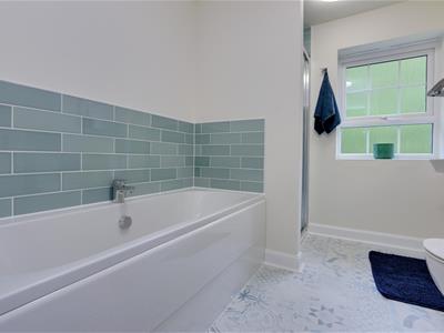 Picture 19
